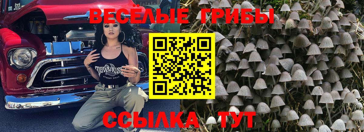 Лыткарино  Галлюциногенные грибы мицелий  Вход с VPN  Псилоцибиновые грибы прущие грибы 